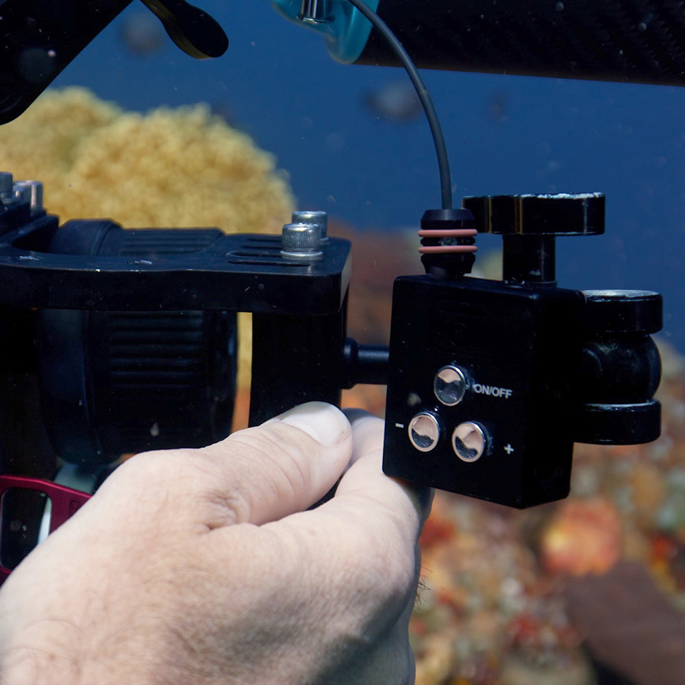 DIVEVOLK SL50 SL120 Underwater - Photography Lighting With Flash recension och pris