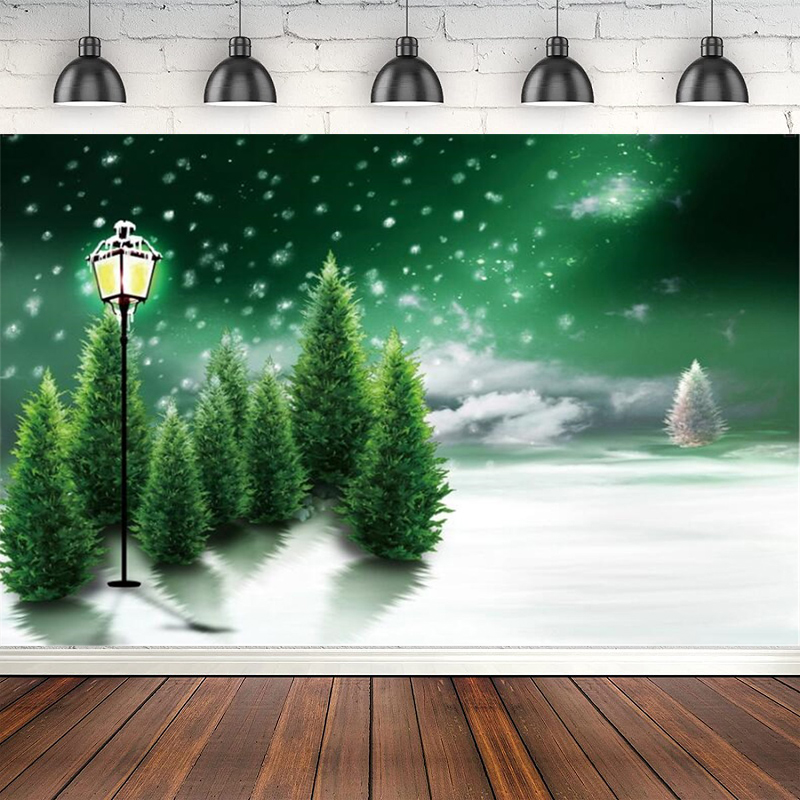 Photography Backdrop Winter Sn - Photography Lighting White Background recension och pris