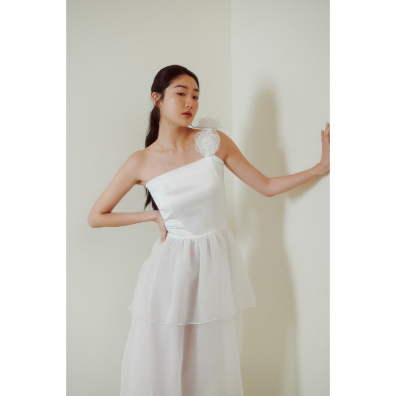 Single Shoulder Minimalist Tra - Photography Natural Lighting Basics recension och pris