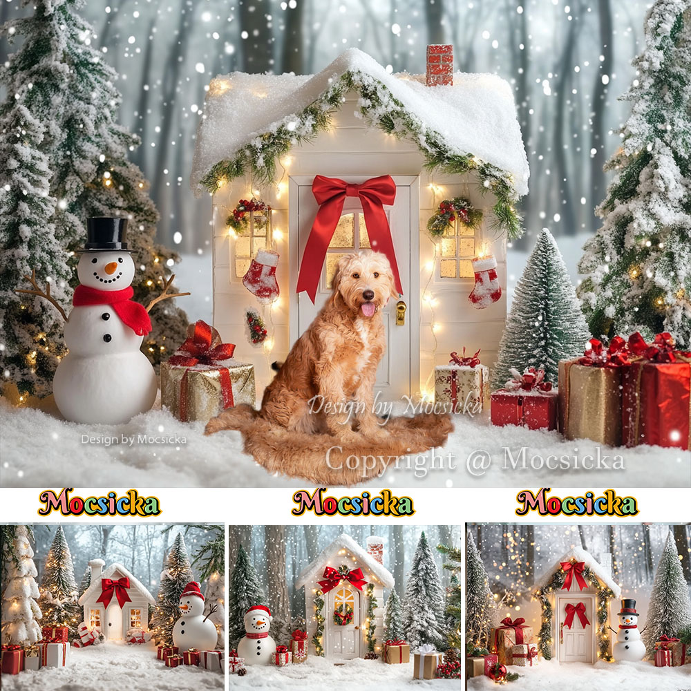 Mocsicka White Christmas House - Photography Lighting White Background recension och pris