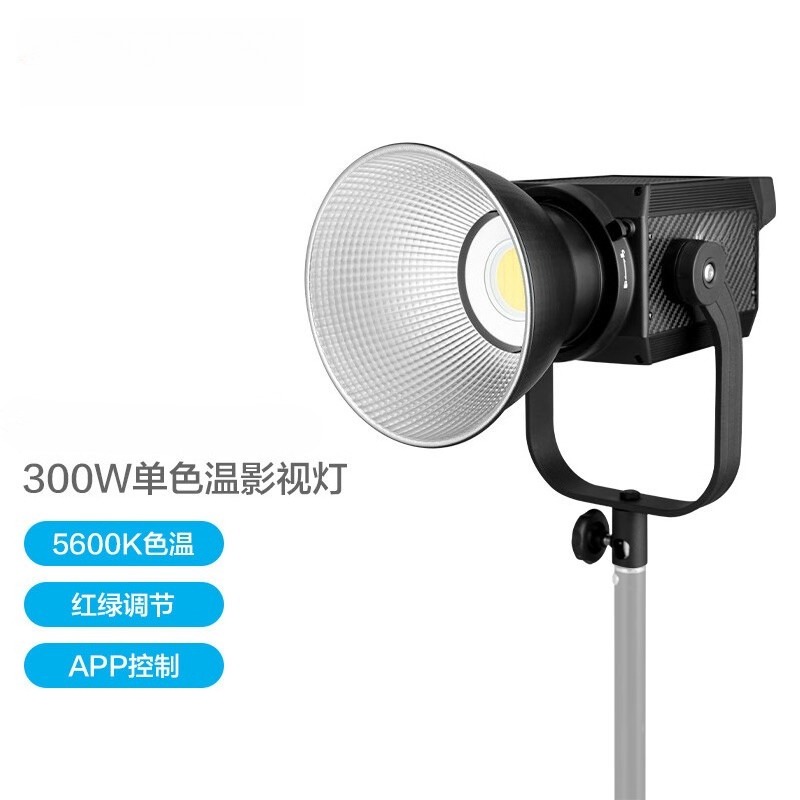 300W second generation high po - Photography Lighting Options recension och pris